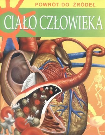 Ciało człowieka