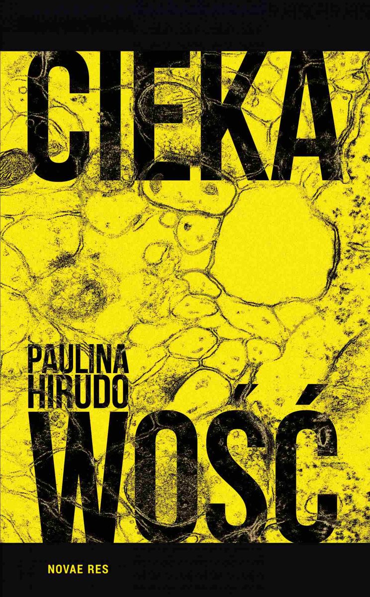 Ciekawość - ebook mobi