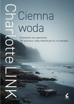 Kryminał, sensacja, thriller