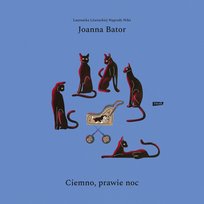 Ciemno, prawie noc - audiobook