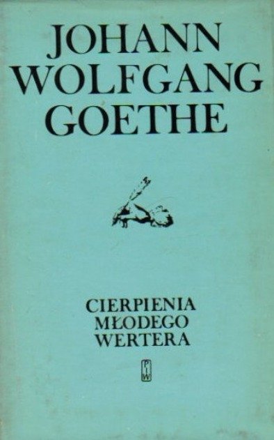 Cierpienia młodego Wertera - Goethe Johann Wolfgang | Książka w Empik