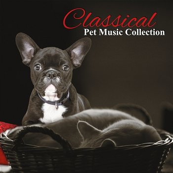 Classical Pet Music Collection – Relax for Dogs & Cats, Calm Down Your Animal - Nikita Schiff, Heinrich Dawydow