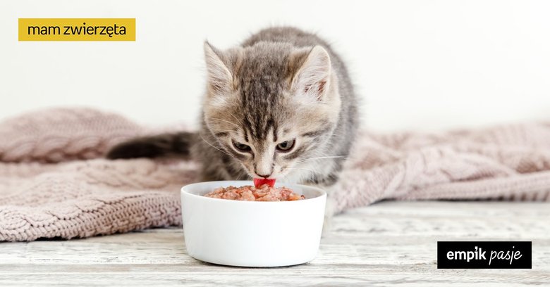 Co jedzą koty? Co mogą jeść, a czego nie?