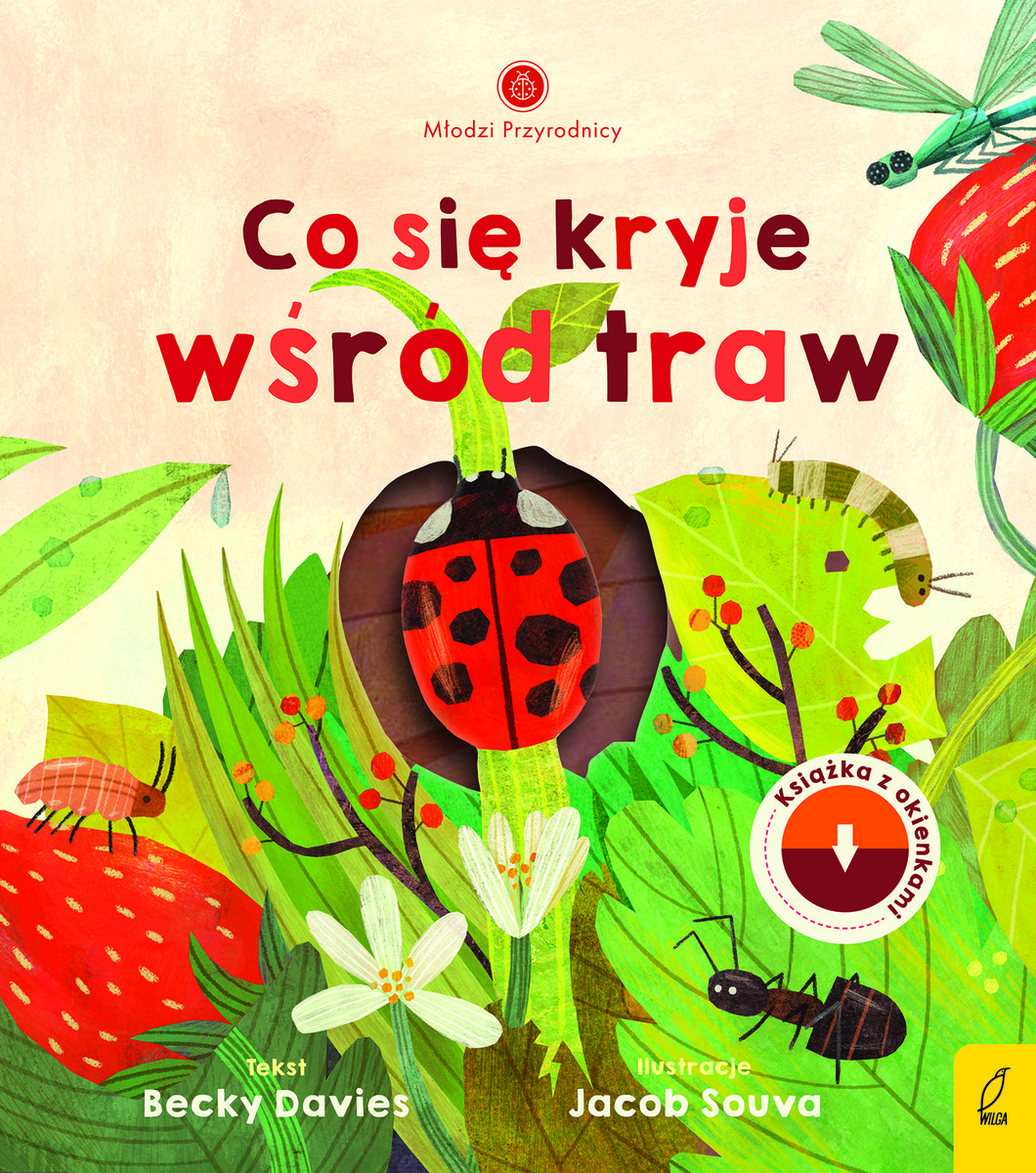 Co się kryje wśród traw Młodzi przyrodnicy Becky Davies Książka w Empik