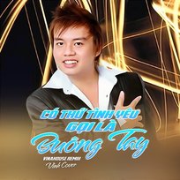 Có Thứ Tình Yêu Gọi Là Buông Tay Remix Vinh Cover