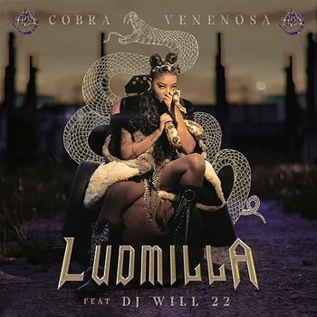 Cobra Venenosa - Ludmilla feat. DJ Will22