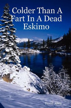 Colder Than a Fart in a Dead Eskimo - Allen David