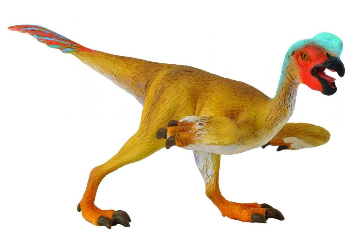 Collecta, figurka Dinozaur Owiraptor, rozmiar M Collecta, figurka Dinozaur Owiraptor, rozmiar M