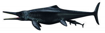 Collecta, figurka Dinozaur Temnodontozaur, rozmiar XL - Collecta