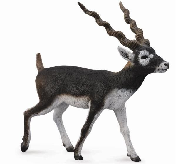 Collecta, Figurka kolekcjonerska, Antylopa Blackbuck, nr kat 88638