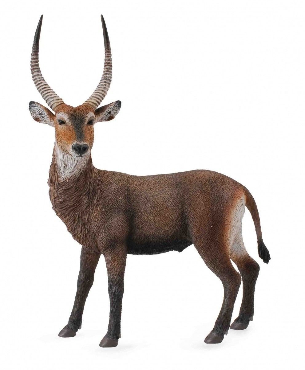 Collecta, Figurka kolekcjonerska, Antylopa Waterbuck, nr kat 88562