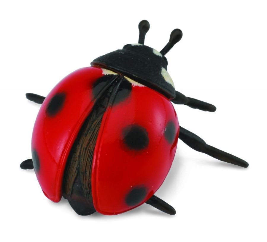 Collecta, Figurka kolekcjonerska, Biedronka, nr kat 88474