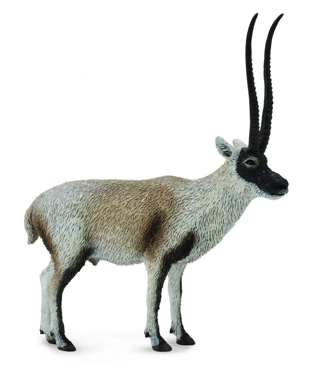 Collecta, Figurka kolekcjonerska, Cziru Antylopa Tybetańska, nr kat 88721