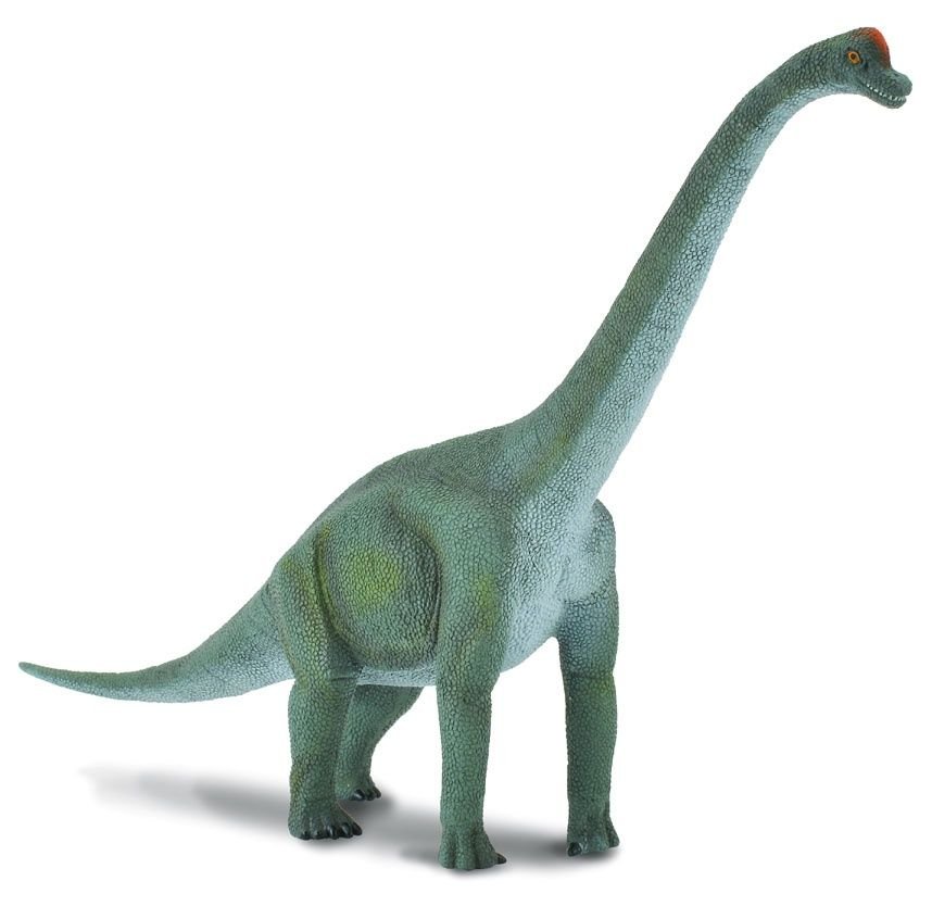 Collecta, Figurka kolekcjonerska, Dinozaur Brachiozaur, nr kat 88121