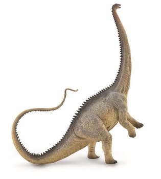 Collecta, Figurka kolekcjonerska, Dinozaur Diplodocus, nr kat 88896 - Collecta