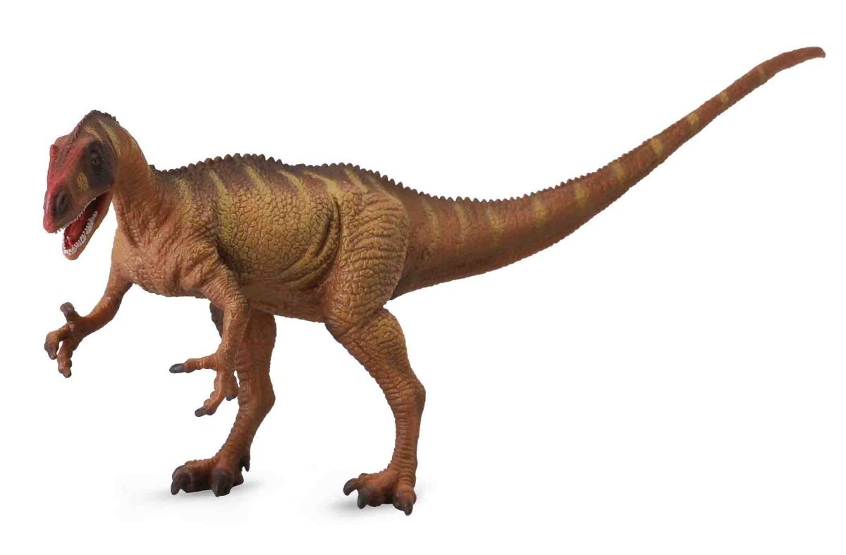 Collecta, Figurka kolekcjonerska, Dinozaur Neovenator Deluxe, nr kat 88525