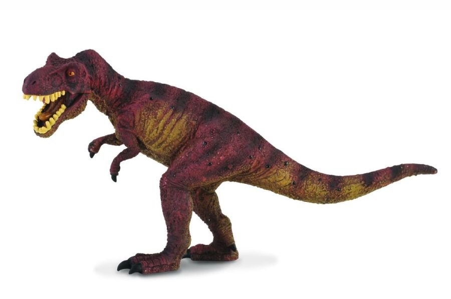 Collecta, Figurka kolekcjonerska, Dinozaur Tyrannosaurus, nr kat 88036