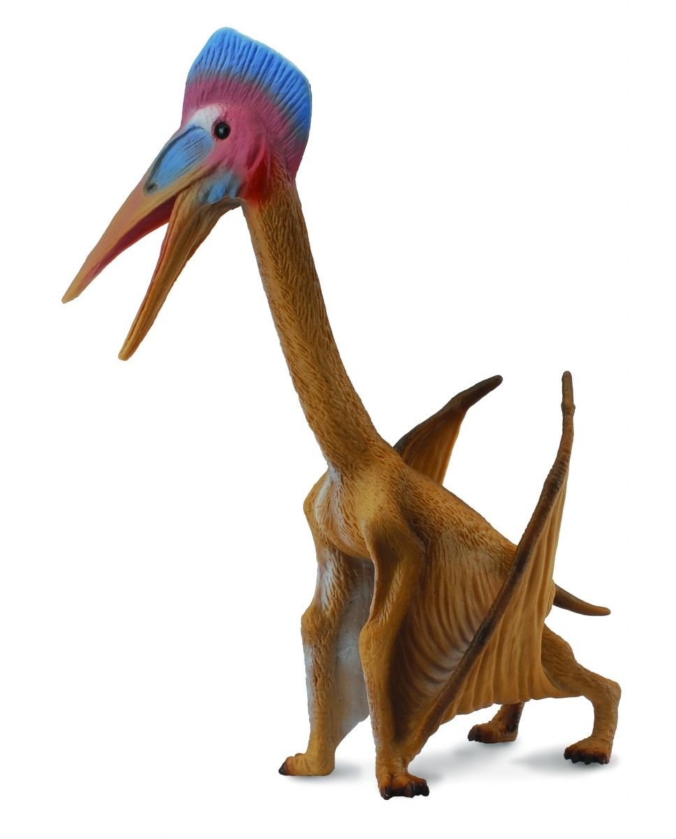 Collecta, Figurka kolekcjonerska, Dinozaura Hatzegopteryx, nr kat 88441