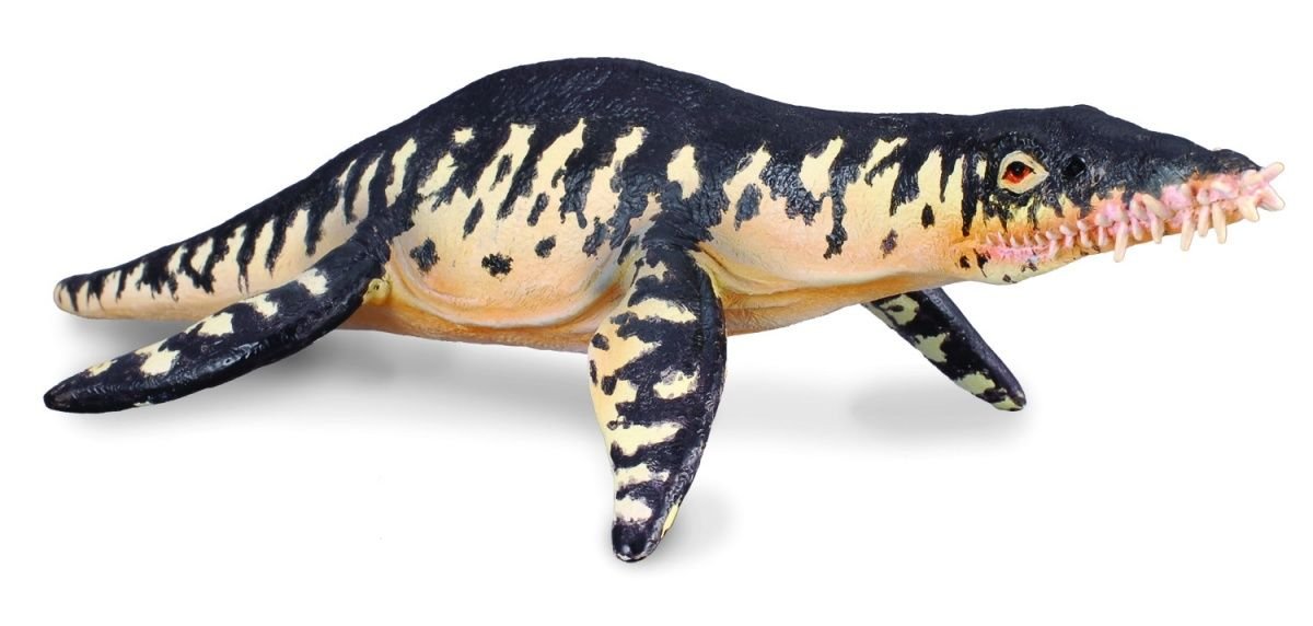 Collecta, Figurka kolekcjonerska, Dinozaura Liopleurodon, nr kat 88237