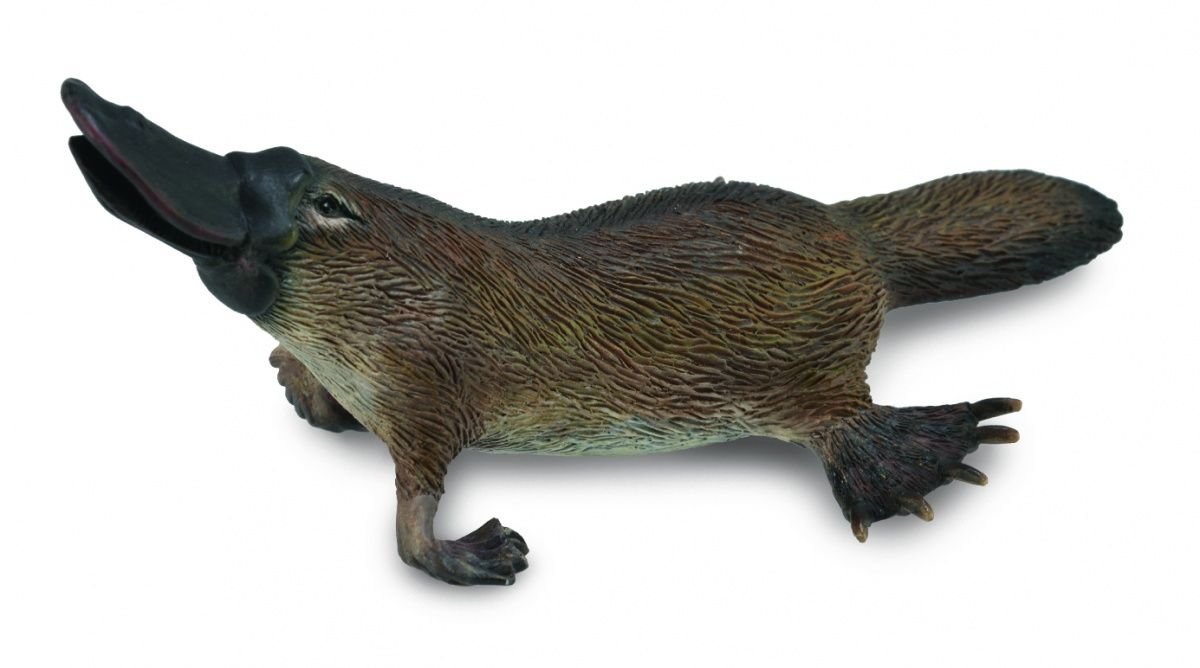 Collecta, Figurka kolekcjonerska, Dziobak Australijski, nr kat 88795
