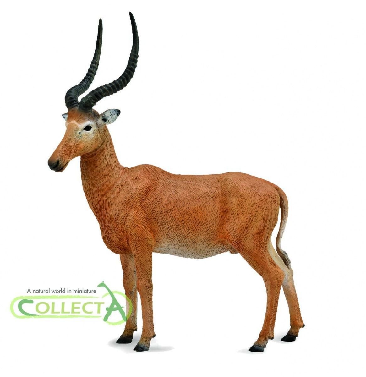 Collecta, Figurka kolekcjonerska, Hirola, nr kat 88757