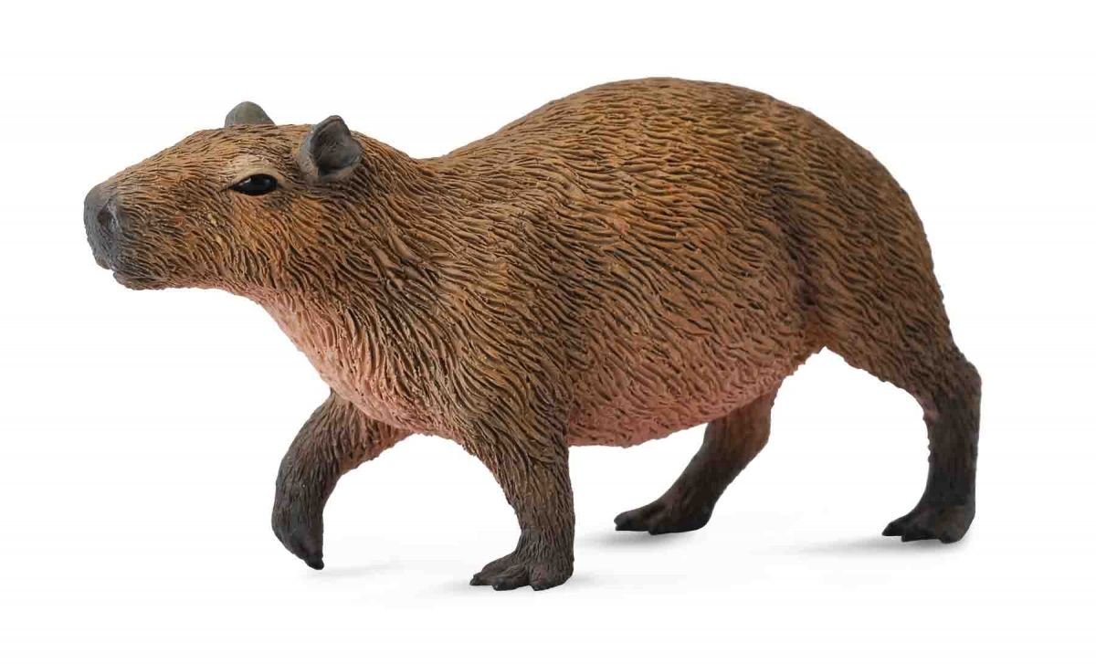 Collecta, Figurka kolekcjonerska, Kapibara, nr kat 88540