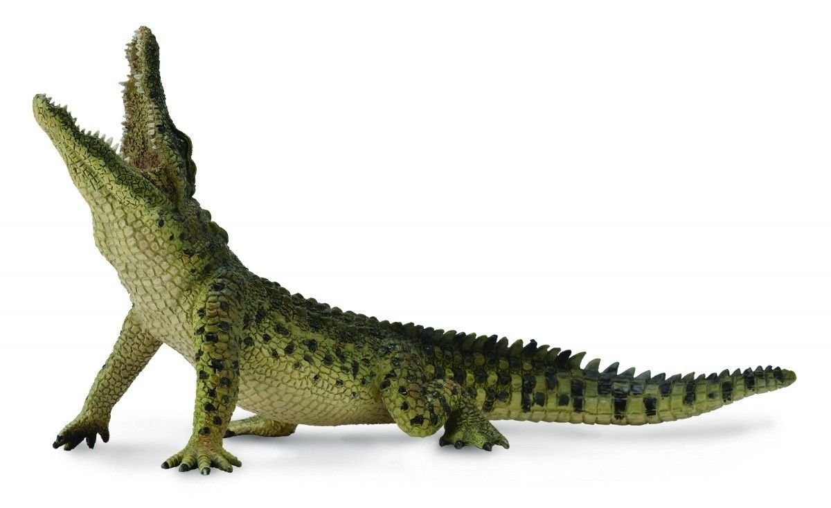 Collecta, Figurka kolekcjonerska, Krokodyl Nilowy, nr kat 88725