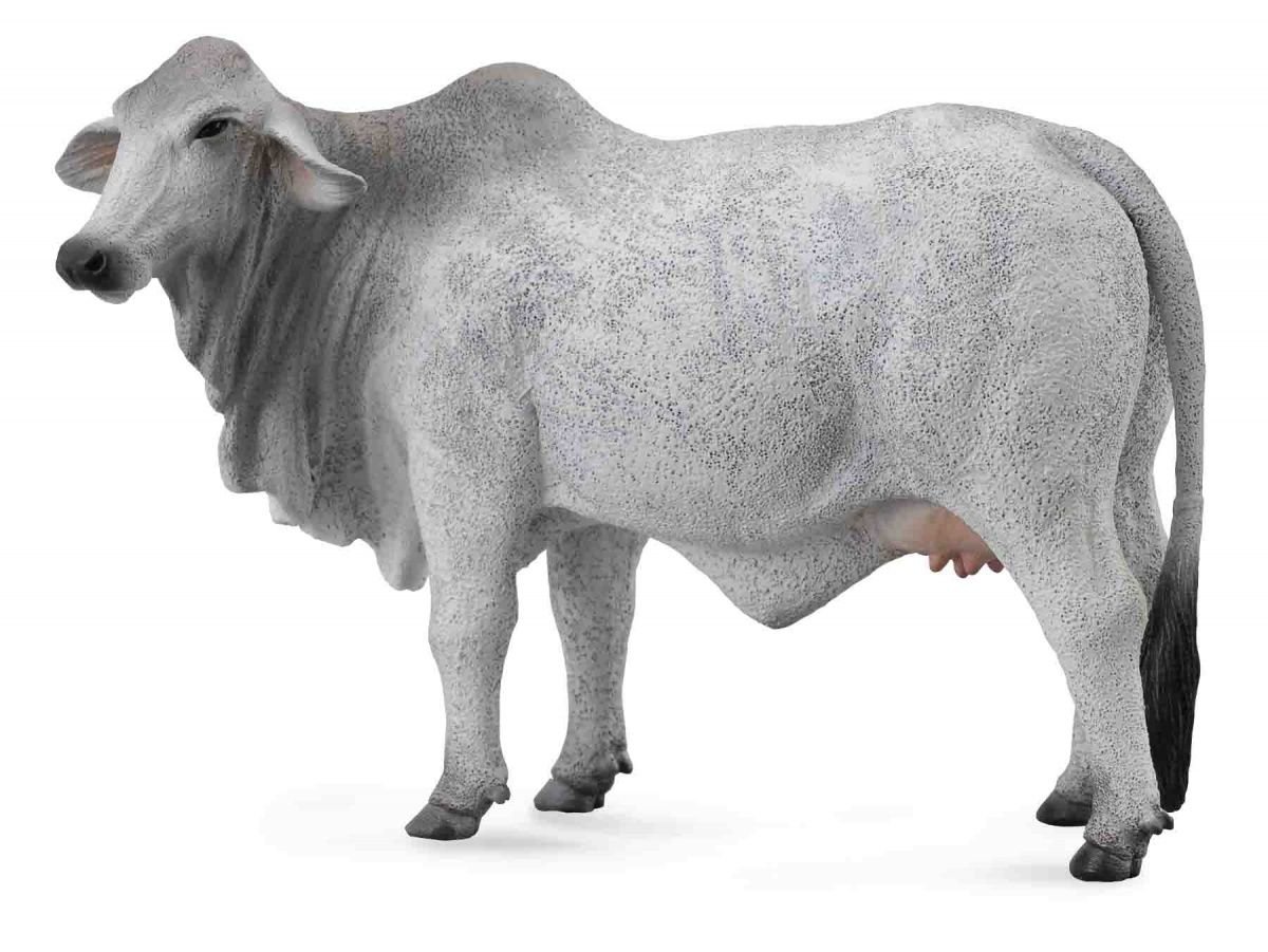 Collecta, Figurka kolekcjonerska, Krowa Brahman, nr kat 88580