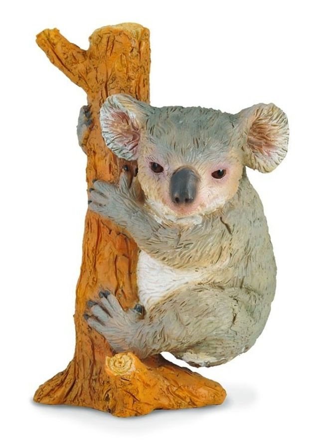 Collecta, Figurka kolekcjonerska, Miś Koala, nr kat 88356