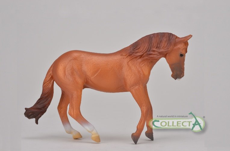 Collecta, Figurka kolekcjonerska, Ogier Rasy Australian Stock Horse Kasztan, nr kat 88712