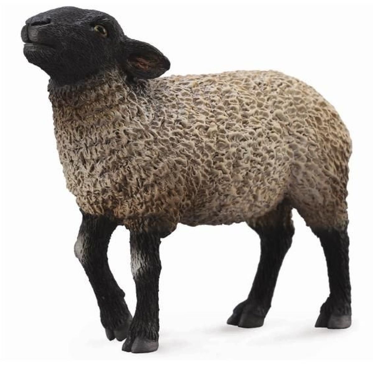 Collecta, Figurka kolekcjonerska, Owca Suffolk, nr kat 88636
