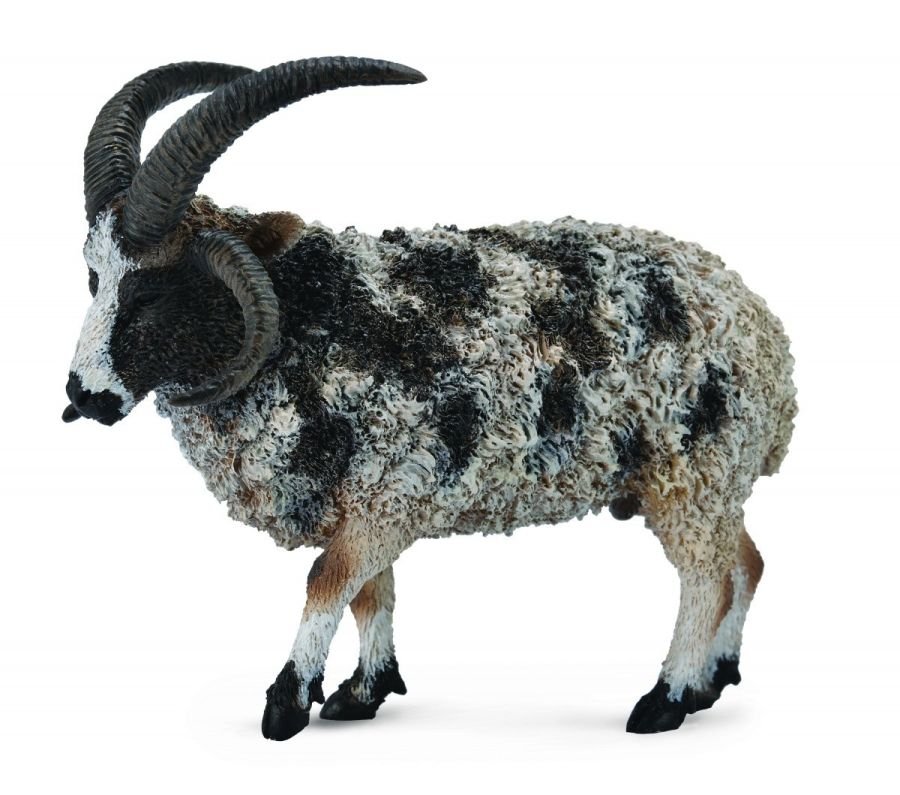 Collecta, Figurka kolekcjonerska, Owca Wieloroga, nr kat 88728