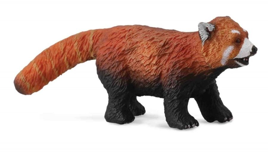 Collecta, Figurka kolekcjonerska, Panda Czerwona, nr kat 88536