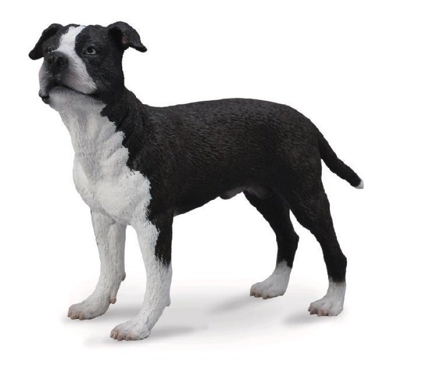 Collecta, Figurka kolekcjonerska, Pies American Staffordshire Terrier, nr kat 88610