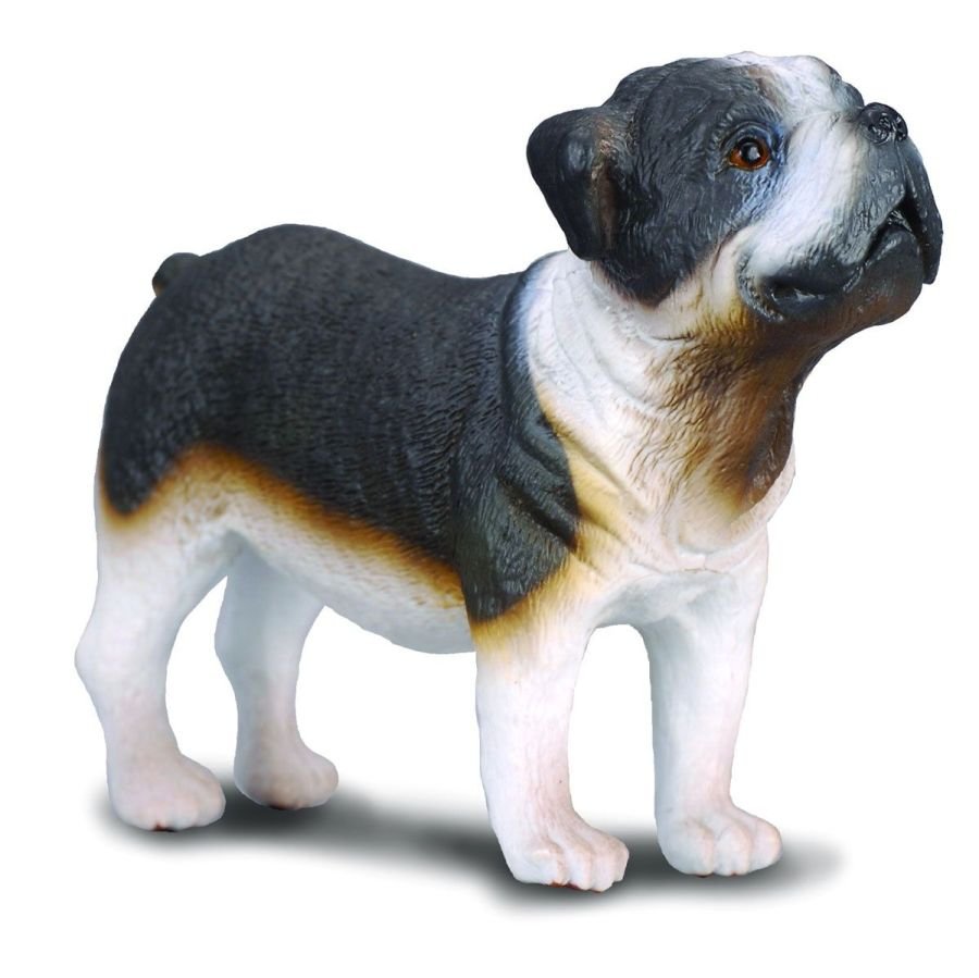 Collecta, Figurka kolekcjonerska, Pies Rasy Buldog, nr kat 88179