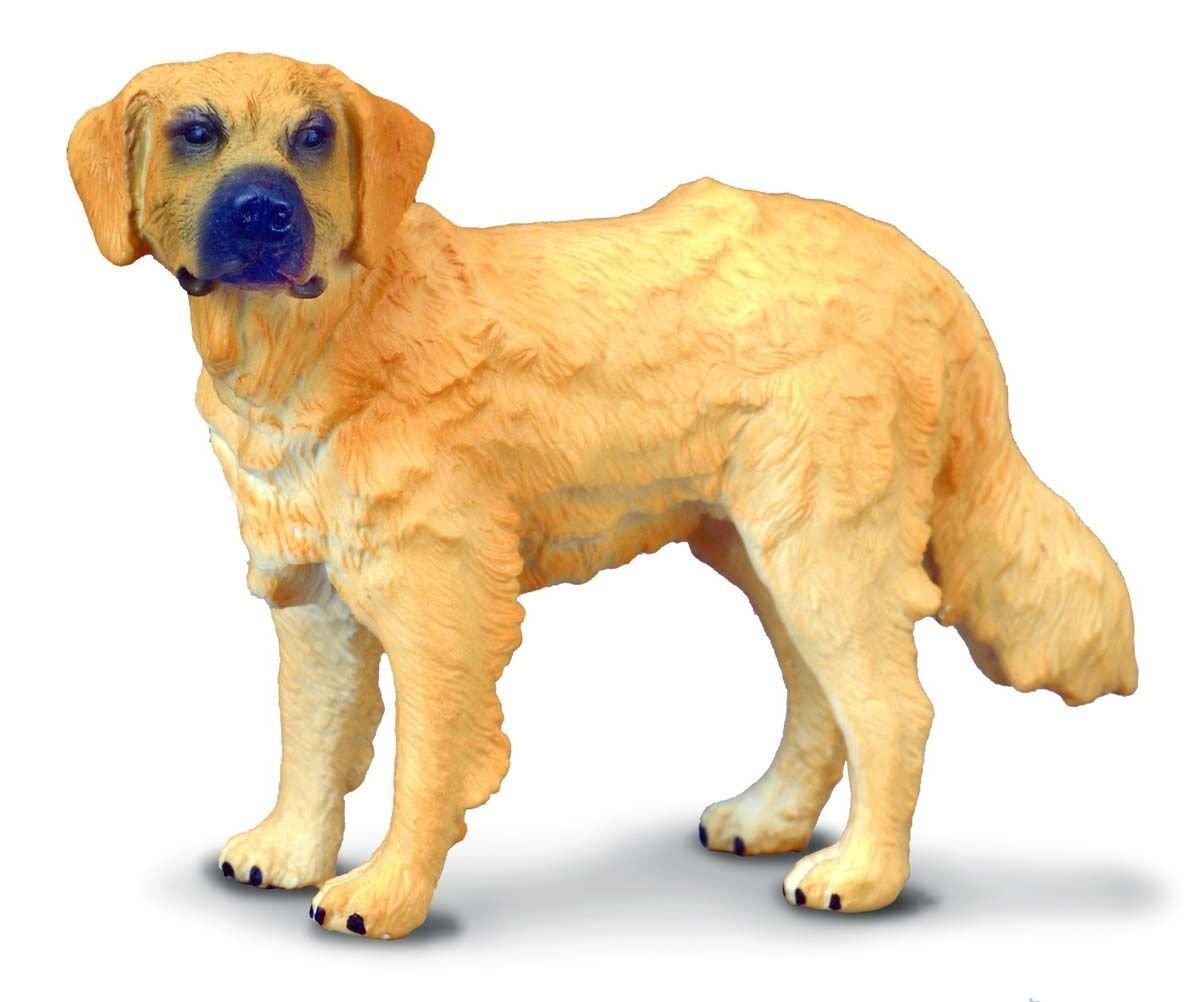 Collecta, Figurka kolekcjonerska, Pies Rasy Golden Retriever, nr kat 88116