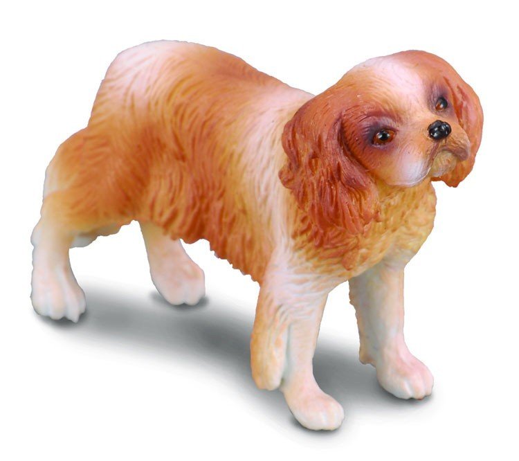 Collecta, Figurka kolekcjonerska, Pies Rasy Spaniel Cavalier King Charles, nr kat 88181