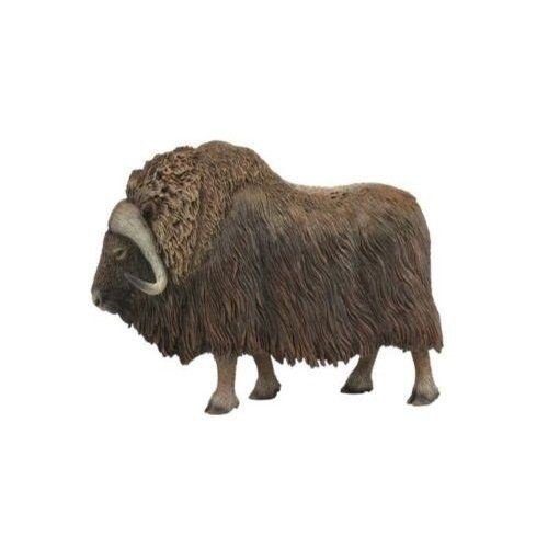 Collecta, Figurka kolekcjonerska, Piżmowół Arktyczny, nr kat 88837