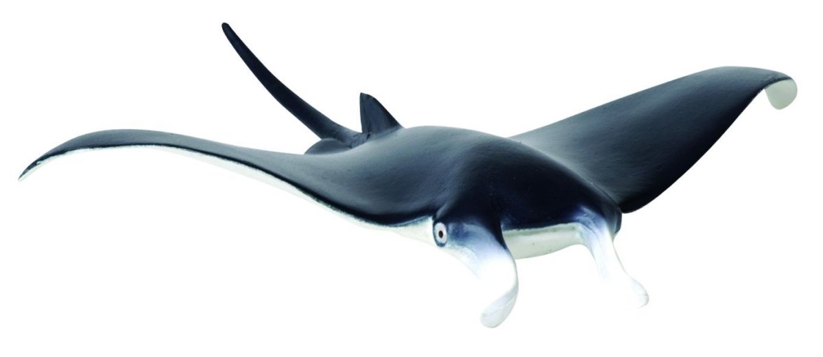 Collecta, Figurka kolekcjonerska, Ryba Manta Diabeł Morski, nr kat 88040