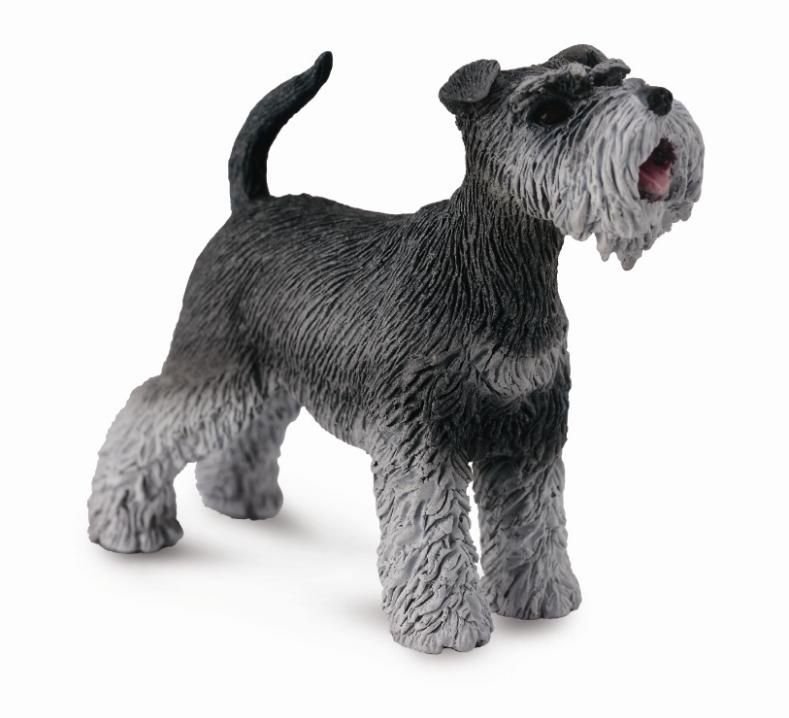 Collecta, Figurka kolekcjonerska, Schnauzer, Rozmiar M, nr kat 88752
