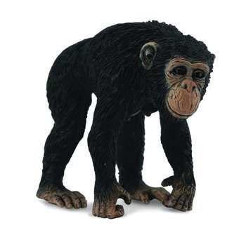 Collecta, Figurka kolekcjonerska, Szympans Samica, Rozmiar M, nr kat 88493 - Collecta