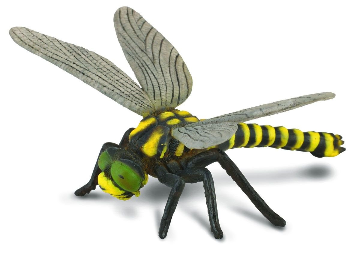 Collecta, Figurka kolekcjonerska, Ważka, nr kat 88350