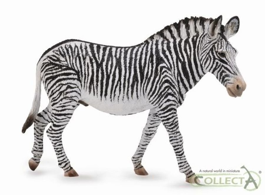 Collecta, Figurka kolekcjonerska, Zwierzę Dzikie, Zebra Grevys, nr kat 88773