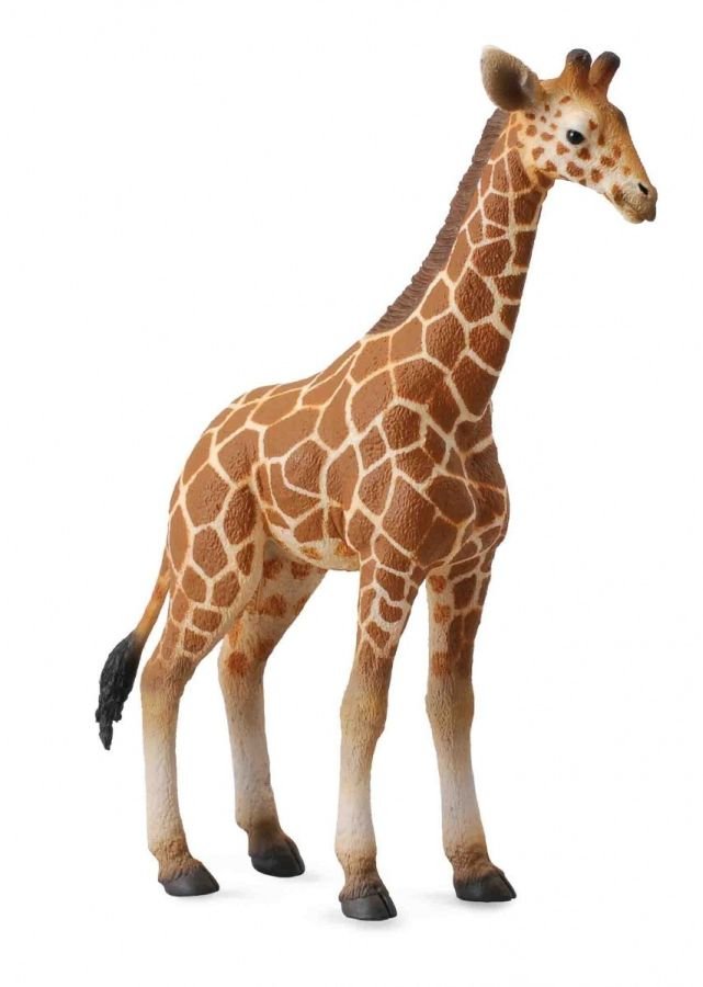 Collecta, Figurka kolekcjonerska, Żyrafa Siatkowana, nr kat 88535
