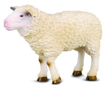 Collecta, figurka Owca, rozmiar M - Collecta