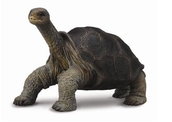 Collecta, figurka Żółw z wyspy Pinta, rozmiar M - Collecta