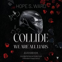 Collide. We Are All Liars - audiobook