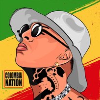 Colombia Nation Lion Fiah