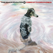 Coming Up To Consciousness Pure Reason Revolution