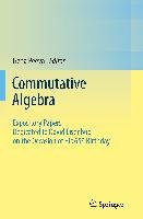 Commutative Algebra - Springer New York | Książka w Empik